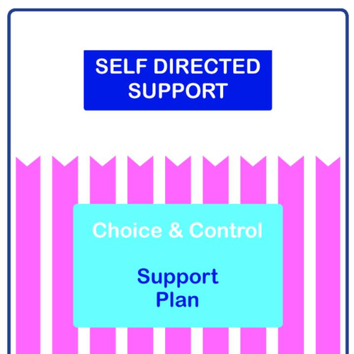 Choice and Control Support Plan